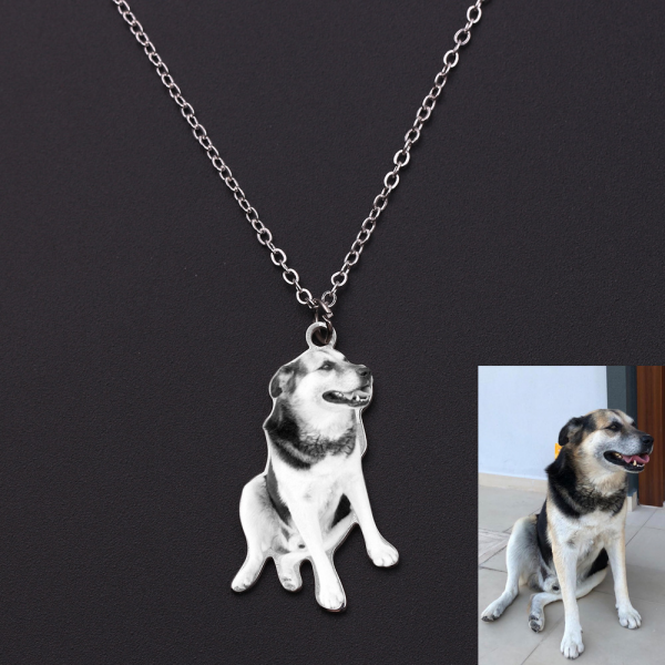 Personalized Stainless Steel Custom Pet Photo Engraved Necklace